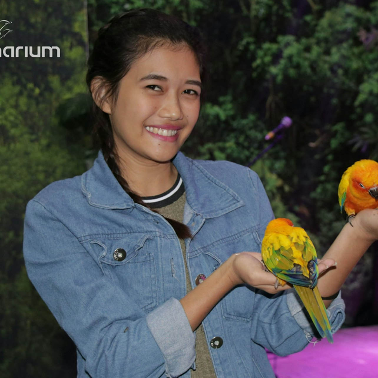 Discover a delightful experience as colorful birds interact with visitors at the Creek Park Exotic Bird Show showcasing their unique skills and charm amidst stunning surroundings in Dubai.